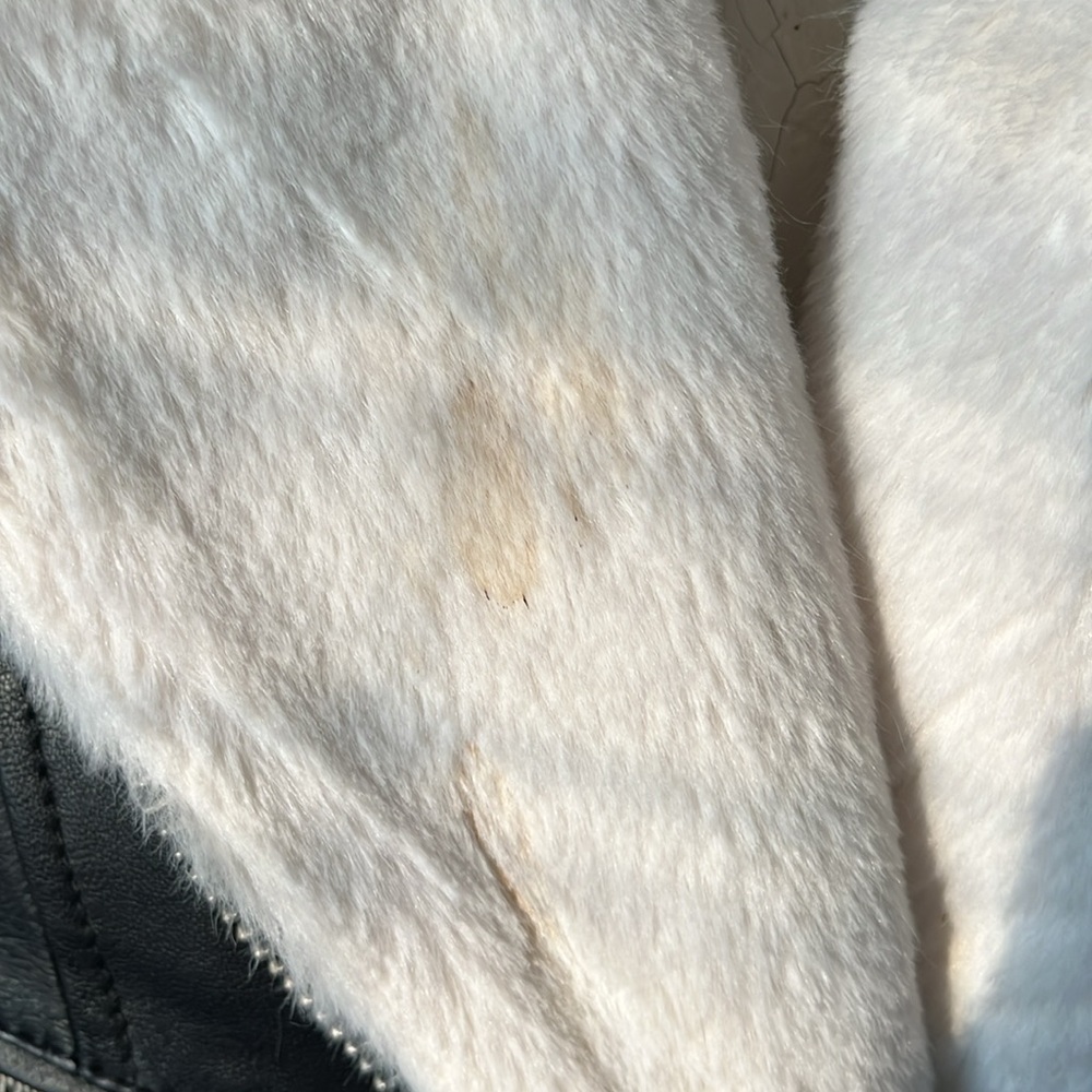 Lab Leather Jacket - Picture 2 of 5